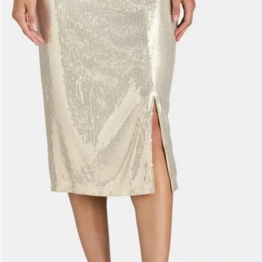 Time and Tru sequin skirt - Picture 4 of 10